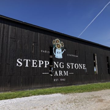 stepping stone welcome sign