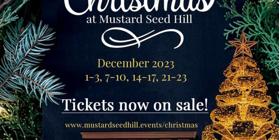 Christmas at Mustard Seed Hill
